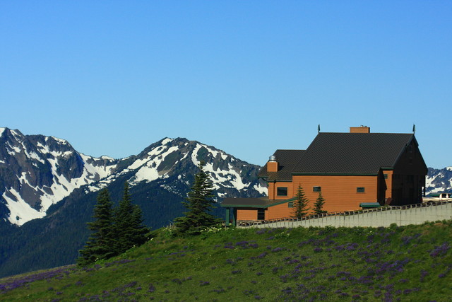 alt-諸神的寓所─美國奧林匹克國家公園（Olympic National Park）-2