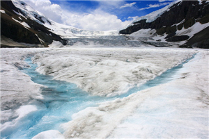 alt-賈士伯國家公園（上） ─ 哥倫比亞冰原歷險記-4