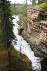 alt-賈士伯國家公園(下) ─洛磯山脈最大的國家公園-2