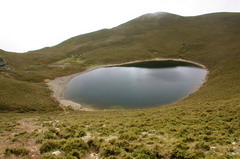 alt-在台灣最美的高山湖泊遇見山中的精靈—台灣水鹿-1