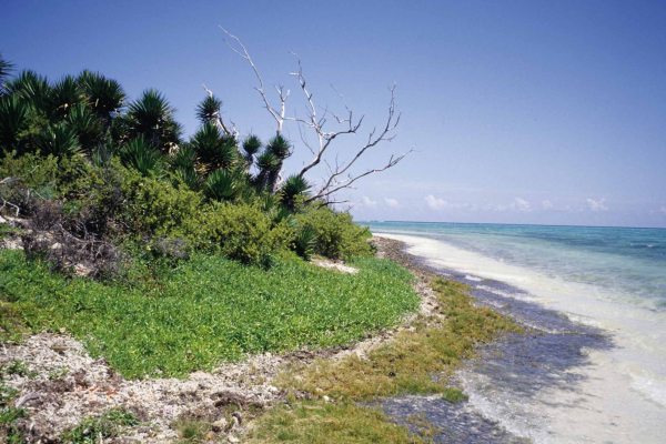 東沙島潟湖一隅