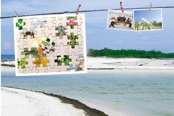 百變東沙環礁公園