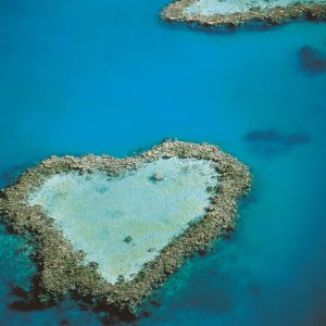 大堡礁心型珊瑚礁空照圖