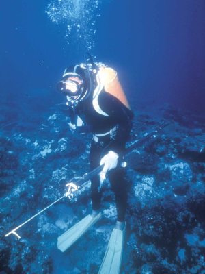 潛水客的不當捕抓行為