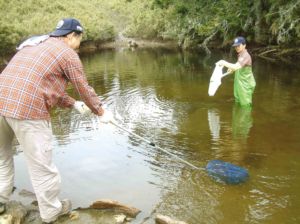 淨池及水質研究工作