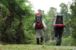 低環境衝擊之宿營與休閒活動方式