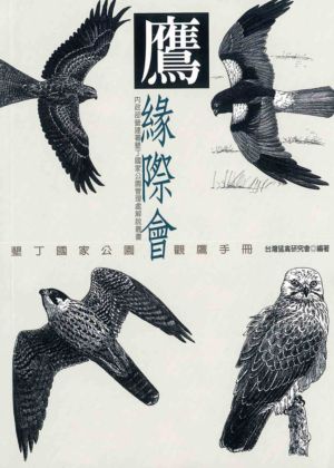 鷹緣際會書籍封面