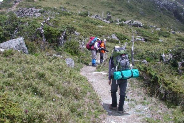 山岳生態探索課程