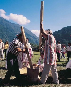 太魯閣族人搗小米