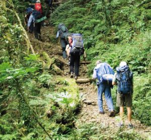 選擇現有路徑行走