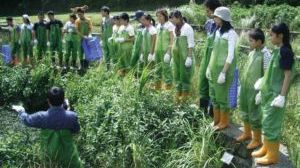 2005年生態工作假期