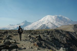 簡裝和輕食的保育概念