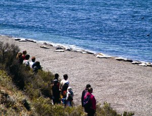 維爾德斯半島北岬