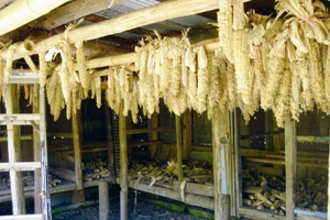 大禮部落廢棄小學