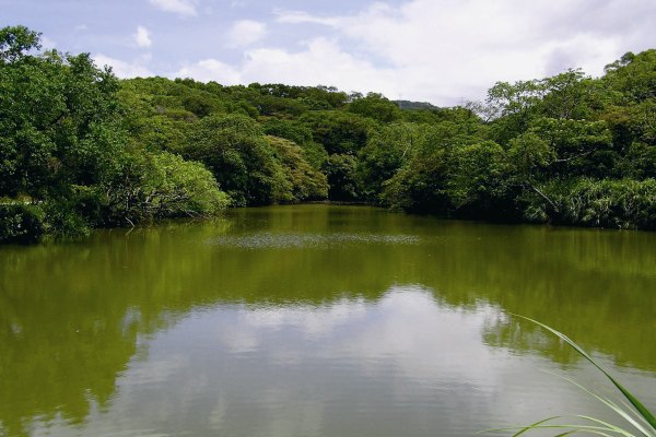 阿里磅農場天然湖泊