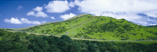 陽明山國家公園草原