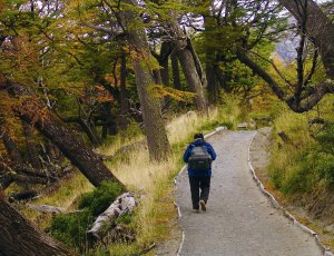百內國家公園土石路面步道系統