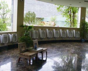 六星級豪華衛生間