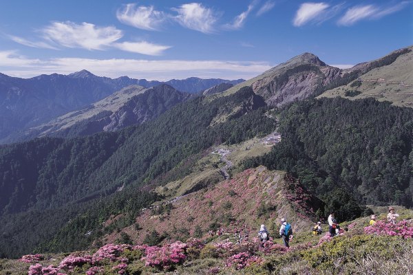 合歡山北峰雪景
