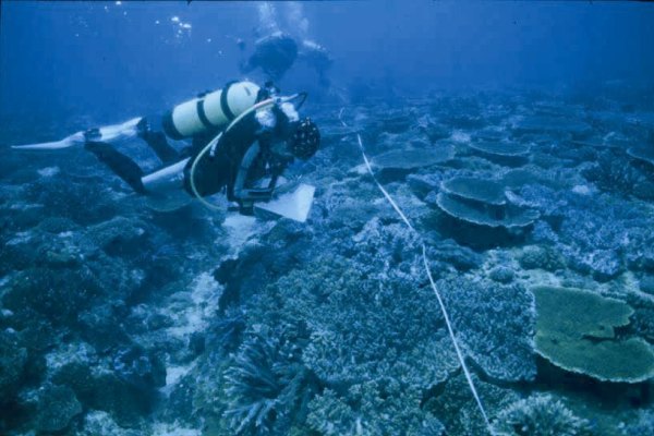 東沙外環礁監測珊瑚覆蓋率調查