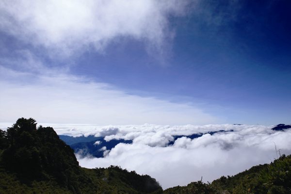 台灣高山雲海