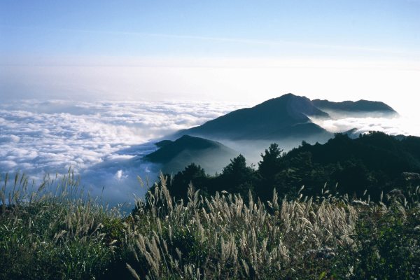觀霧雲海