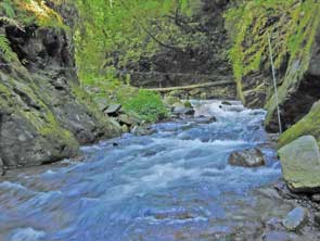 高山溪夏天颱風季節水流湍急，大石頭底下就成為鮭魚的避難所/林幸助提供