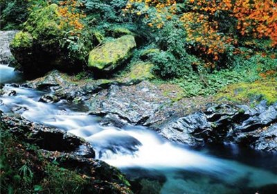 溪流有「自淨作用」，只要不再繼續污染干擾，經過休養生息，溪水會自動變得澄清。圖為碧綠溪/戴進元攝