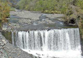 台灣溪流環境變化大，春夏流水潺潺，冬天則進入缺水的乾旱期。圖為春天七家灣溪/林幸助提供