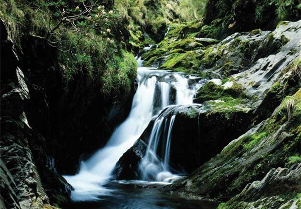 溪流匯聚了天降甘霖，滋養著萬物蒼生。圖為合歡溪/戴進元攝