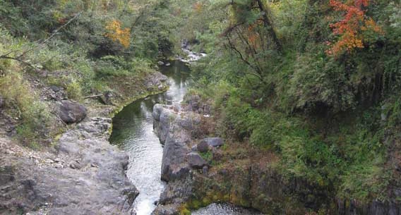 溪流雕塑出台灣凹凸有致的地貌，圖為七家灣溪/林幸助提供