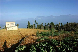 台灣溪流的中上游面臨的主要問題，就是農業開發/鄭真義攝