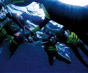 從事潛水活動更應尊重海洋/墾管處提供