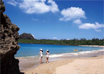 深耕海洋知識，從小做起/翁爺攝