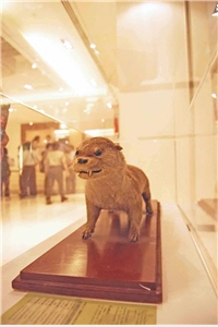 參觀特展，瞬間造訪離島國家公園/赤天空攝