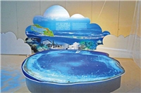 想認識東沙環礁國家公園裡的海洋生物嗎？/赤天空攝