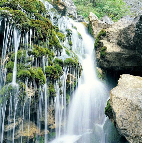 太魯閣的水石青苔。以慢速快門捕捉水流的律動，白霧般的溪水襯托新綠的青苔，構圖充分展現了沁涼感。