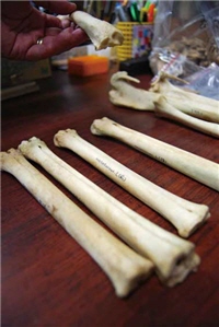 研究室裡整齊編號收藏的出土遺留，都蘊藏先民留給我們的訊息，等待學者一一解開其中奧秘/賴宛靖攝