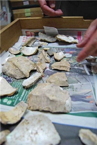 研究室裡整齊編號收藏的出土遺留，都蘊藏先民留給我們的訊息，等待學者一一解開其中奧秘/賴宛靖攝