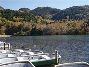 停靠在十和田湖畔的小艇/李柏壯攝