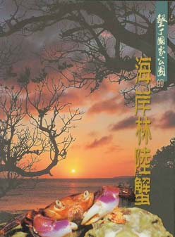 墾丁國家公園的海岸林陸蟹