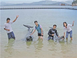 研究鯨豚多年的周教授(左二)，為鯨豚保育工作付出不遺餘力/周教授提供