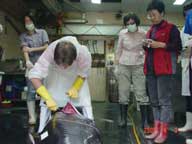 對身形龐大鯨豚的進行解剖、研究，每一項都是艱辛粗重的工作/周教授提供