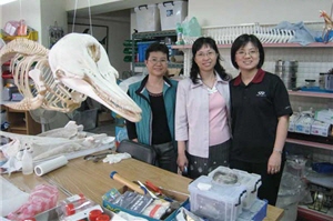 越來越多有志之士投身鯨豚研究的行列/周教授提供