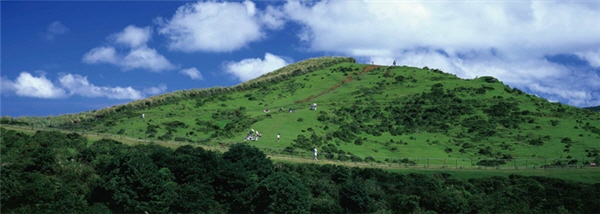 擎天崗景觀∕陽管處提供，張正雄攝