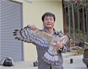 黃光瀛正從事猛禽擊放田野工作/黃光瀛提供