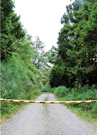 自從2004年艾莉颱風重創五峰鄉，大鹿林道東線封閉五峰鄉/賴宛靖攝