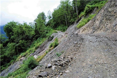 風災後的林道土石鬆軟，雨後路面常出現阻路落石/賴宛青攝