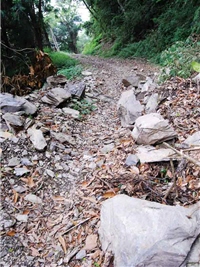 7月底接連兩颱風告訪，令林道落石散落，通過時得特別留意/賴宛靖攝