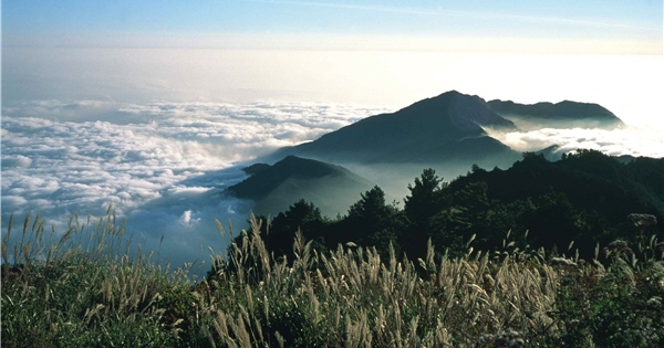 觀霧雲海美不勝收/雪管處提供，俞錚皞攝
